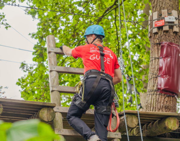 Ein Kletterguide, der gerade an einer Leiter eines Elements im Kletterpark hochklettert